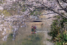 Tour Around A Riverside Area, Japan,Shiga Prefecture,Omi Hachiman City