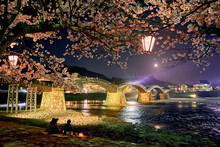 Kintai-bashi Bridge And Cherry Blossoms At Night, Japan,Yamaguchi Prefecture,Iwakuni City