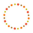 Autumn maple leaves circular frame on white background.
