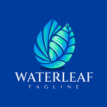 Colorful Abstract Water Drop Organic Leaf Logo Design