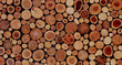 © PsychoBeard - round wooden stump cut panel for background