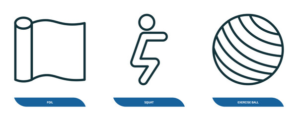 Poster - set of 3 linear icons from sports concept. outline icons such as foil, squat, exercise ball vector