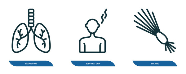 Poster - set of 3 linear icons from sauna concept. outline icons such as respiration, body heat gain, birching vector