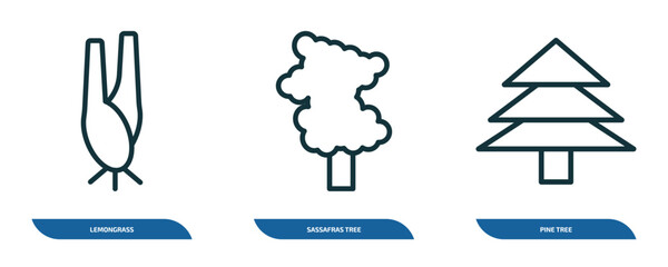 Poster - set of 3 linear icons from nature concept. outline icons such as lemongrass, sassafras tree, pine tree vector
