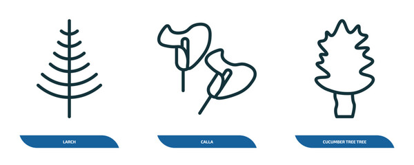 Poster - set of 3 linear icons from nature concept. outline icons such as larch, calla, cucumber tree tree vector