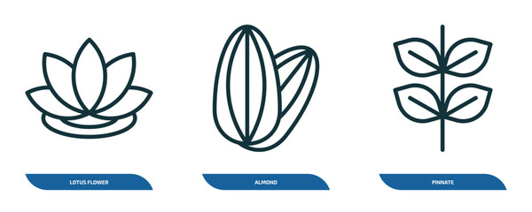 Poster - set of 3 linear icons from nature concept. outline icons such as lotus flower, almond, pinnate vector