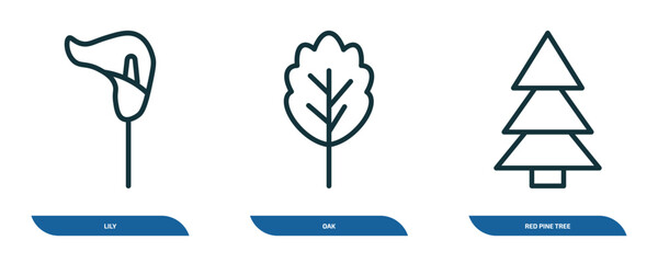 Poster - set of 3 linear icons from nature concept. outline icons such as lily, oak, red pine tree vector