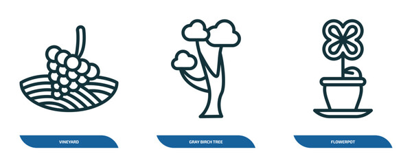 Poster - set of 3 linear icons from nature concept. outline icons such as vineyard, gray birch tree, flowerpot vector
