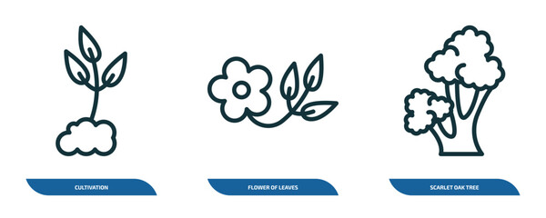 Poster - set of 3 linear icons from nature concept. outline icons such as cultivation, flower of leaves, scarlet oak tree vector
