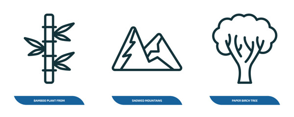 Poster - set of 3 linear icons from nature concept. outline icons such as bamboo plant from japan, snowed mountains, paper birch tree vector