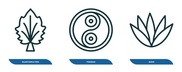 Poster - set of 3 linear icons from nature concept. outline icons such as silver maple tree, fengshui, agave vector