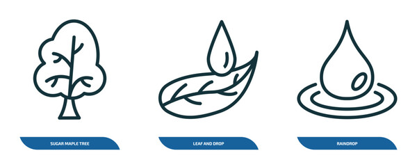 Poster - set of 3 linear icons from nature concept. outline icons such as sugar maple tree, leaf and drop, raindrop vector