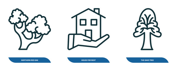 Poster - set of 3 linear icons from nature concept. outline icons such as northern red oak tree, house for rent, the oaks tree vector