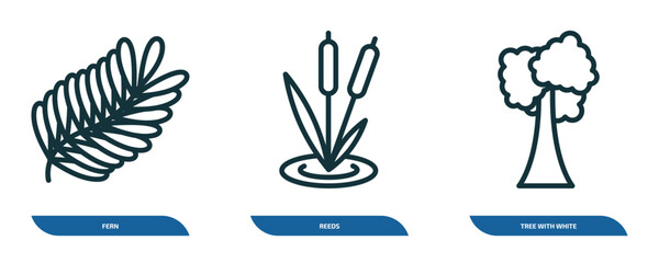 Poster - set of 3 linear icons from nature concept. outline icons such as fern, reeds, tree with white foliage vector