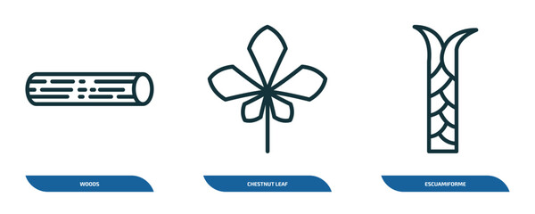 Poster - set of 3 linear icons from nature concept. outline icons such as woods, chestnut leaf, escuamiforme vector