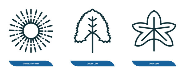 Poster - set of 3 linear icons from nature concept. outline icons such as shining sun with rays, linden leaf, grape leaf vector