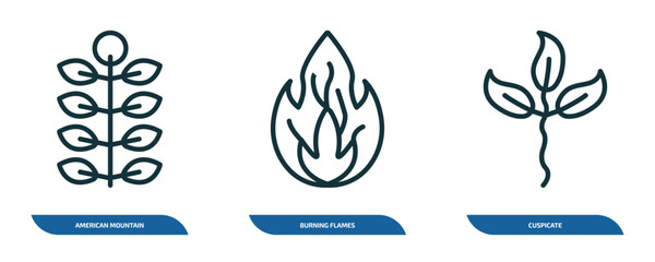 Poster - set of 3 linear icons from nature concept. outline icons such as american mountain ash, burning flames, cuspicate vector