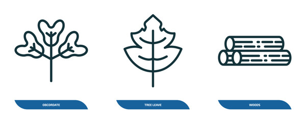 Poster - set of 3 linear icons from nature concept. outline icons such as obcordate, tree leave, woods vector
