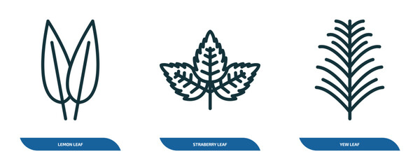 Poster - set of 3 linear icons from nature concept. outline icons such as lemon leaf, straberry leaf, yew leaf vector