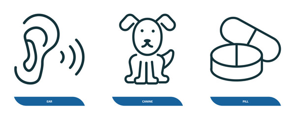Poster - set of 3 linear icons from medical concept. outline icons such as ear, canine, pill vector