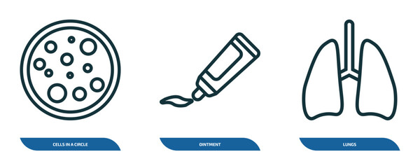 Poster - set of 3 linear icons from medical concept. outline icons such as cells in a circle, ointment, lungs vector