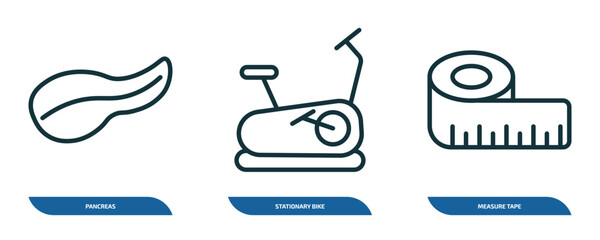 Poster - set of 3 linear icons from health and medical concept. outline icons such as pancreas, stationary bike, measure tape vector