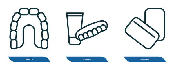 Aufkleber - set of 3 linear icons from dentist concept. outline icons such as maxilla, dentures, mint gum vector