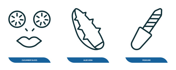 Poster - set of 3 linear icons from beauty concept. outline icons such as cucumber slices on face, aloe vera,