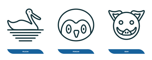 Poster - set of 3 linear icons from animals concept. outline icons such as pelican, penguin, boar vector