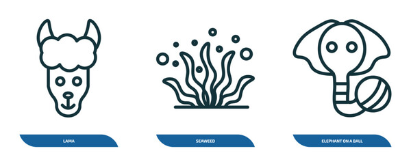 Poster - set of 3 linear icons from animals concept. outline icons such as lama, seaweed, elephant on a ball vector