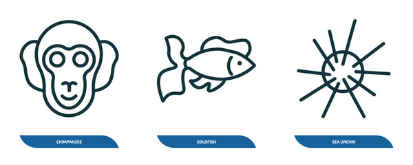 Poster - set of 3 linear icons from animals concept. outline icons such as chimpanzee, goldfish, sea urchin vector