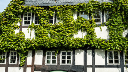 Wall Mural - Fachwerk Häuser in Hattingen Ruhr Deutschland