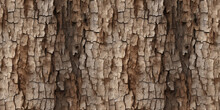Close-up Shot Of A Tree Trunk With Cracked And Wrinkled Wood Texture In A Seamless Repeating Pattern.