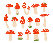 Fly Agaric Mushroom Forest Dangerous Poisonous Fungus Vector Illustration Set Isolated On White
