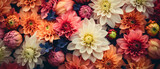 Fototapeta Fototapeta w kwiaty na ścianę - Tapeta kwiatowa - kolorowe tło z pięknych roślin. 