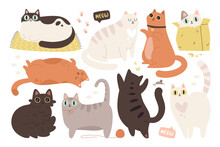 Funny Pet Fat Cat Cute Animal Character In Different Pose, Emotion And Action Isolated Set