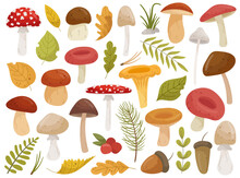 Various Mushrooms And Leaves Design Element Isolated Nature Botanical Set On White Background