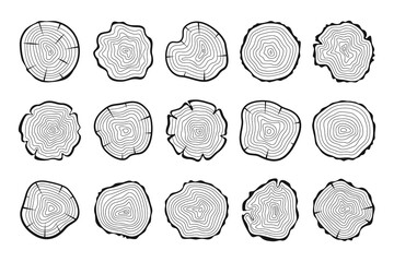 Wall Mural - Cross section tree, wood wavy ring pattern from, trunk circle slice, lined stump isolated set