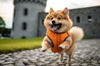 Medium shot portrait photography of a funny finnish spitz kicking after potty wearing a reflective vest against a historic castle backdrop. With generative AI technology