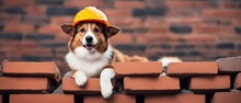A Corgi Dog In A Construction Baby Carriage Lays On A Brick Pile