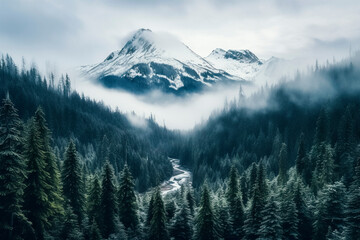 Wall Mural - Drone photo of a foggy valley in Southern Oregon in winter. 