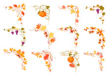 Autumn Floral Decorative Border, Frame And Corner With Plant Flower And Pumpkin Isolated Set