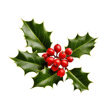 Holly Berry Leaves Christmas Decoration