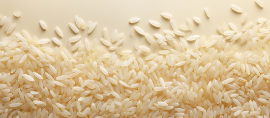 Wall Mural - Closeup of rice against isolated pastel background Copy space