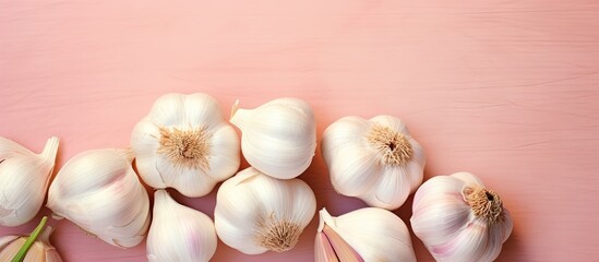 Aufkleber - Close up of garlic isolated pastel background Copy space