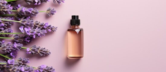 Poster - Aesthetic bottle of lavender oil on isolated pastel background Copy space