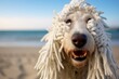Close-up portrait photography of a funny komondor dog hiding bones wearing a dinosaur costume against a bustling beach resort background. With generative AI technology