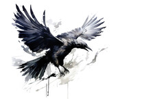 Image Of Painting Crow Flying On White Background. Birds. Wildlife Animals. Illustration, Generative AI.