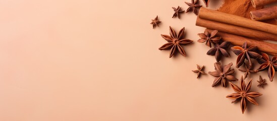 Poster - Close up of cinnamon sticks and star anise on a isolated pastel background Copy space
