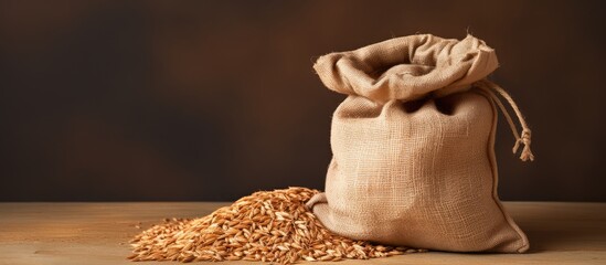 Aufkleber - Brown sack on isolated pastel background Copy space ground with Paddy
